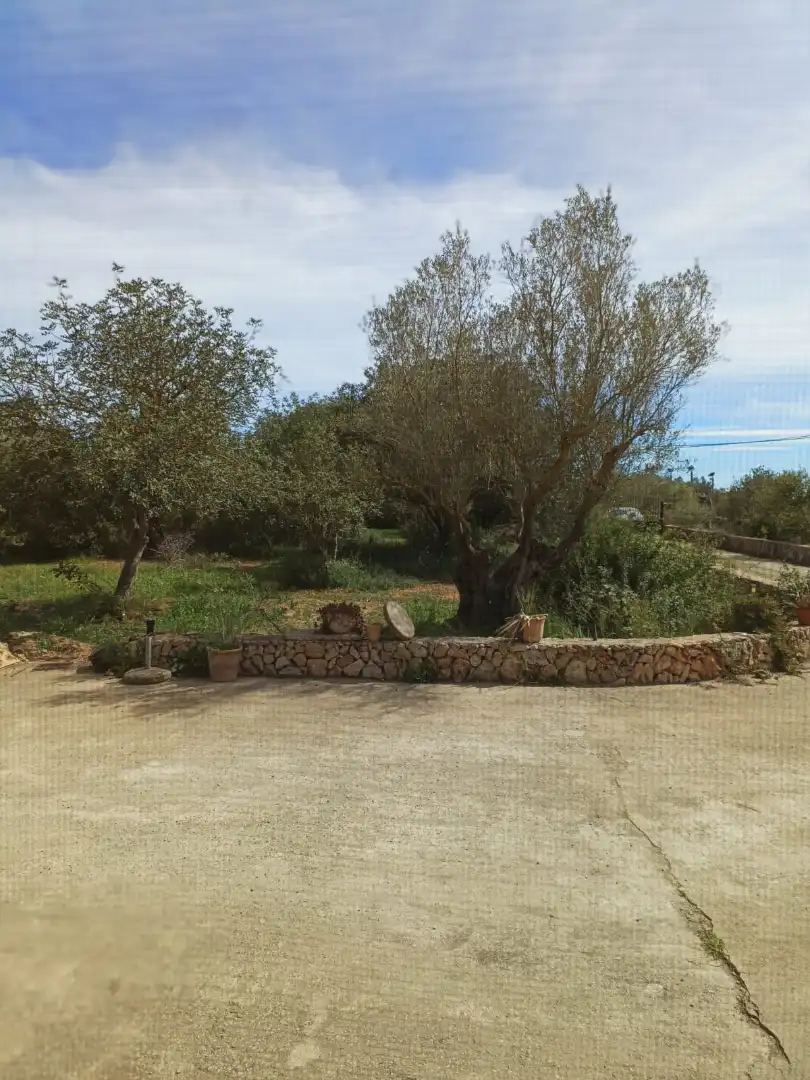 Villa à vendre à Manacor Centre, imagen 11