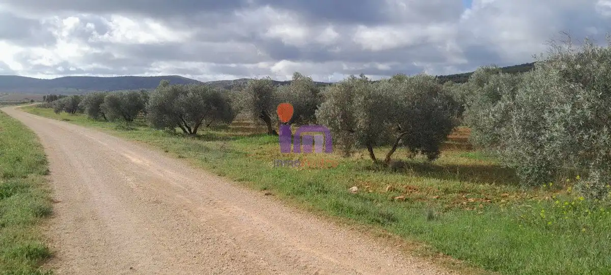 Casa rústica en venda a Valdepeñas