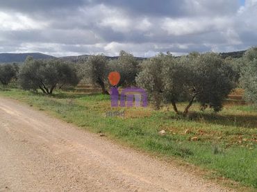 Casa rustica in vendita a Valdepeñas