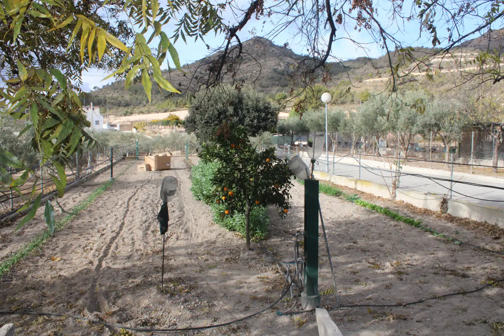 Garten von Haus oder Chalet zum Verkauf in Sax mit Privatgarten, Schwimmbad und Möbliert