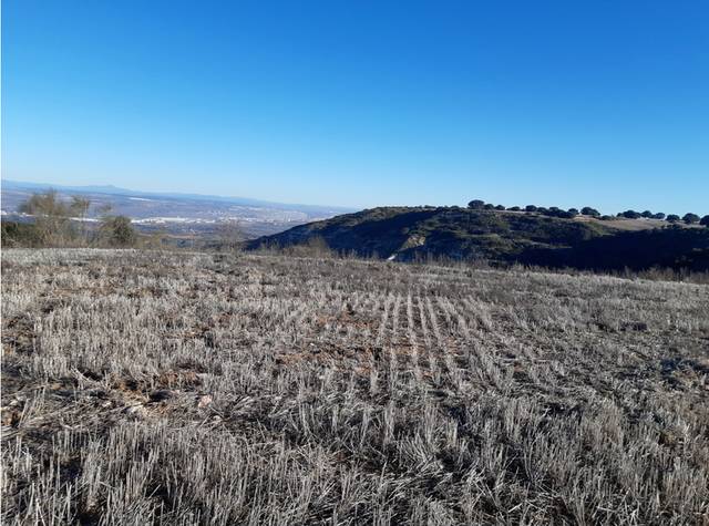 Terreno en Venta en Rinconada