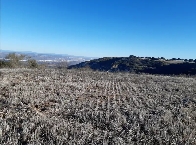 Land for sale in Alcalá de Henares