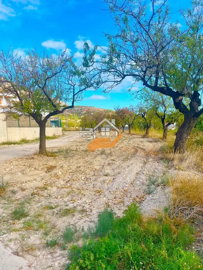 Terrenos y solares en venta en Vélez-Blanco, imagen 10