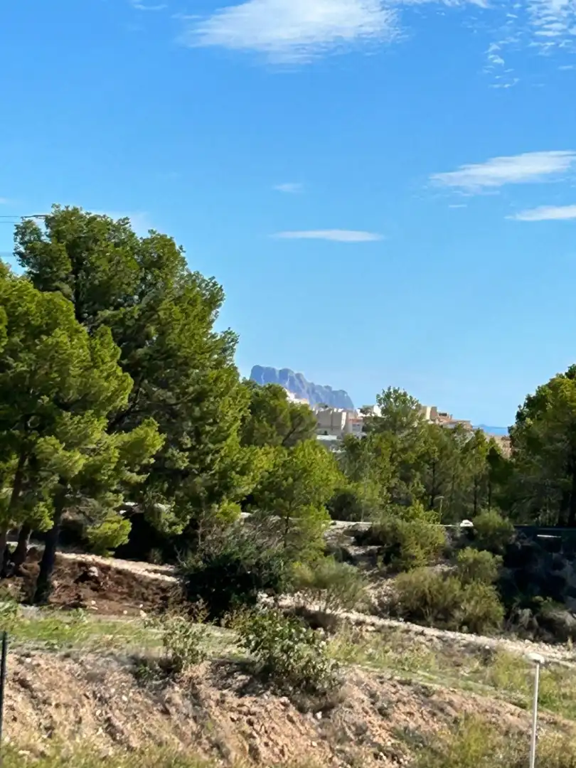 Wohnbaugrundstück zum Verkauf in Escandinavia - Cautivador, imagen 3