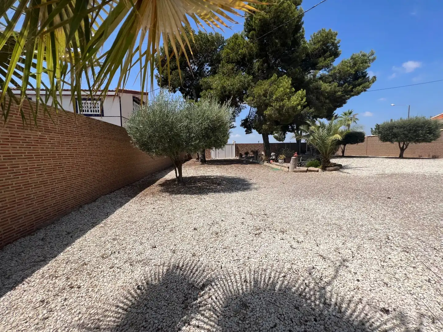 Casa con piscina en venta en Campo de Murcia, imagen 5
