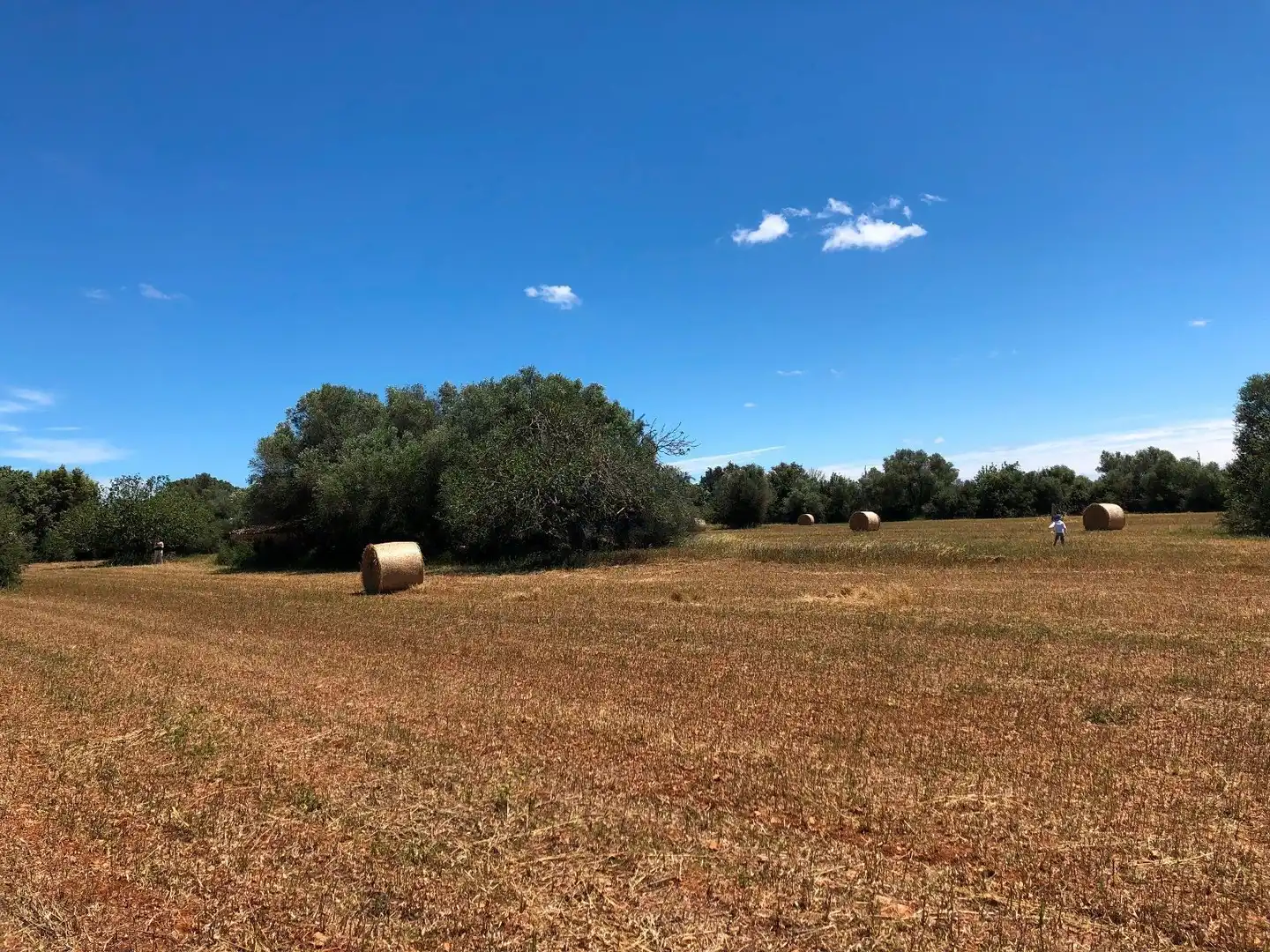 Residential land for sale in Felanitx Poble, imagen 15