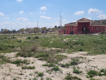 Terreny rústic en venda a Avda. Abogado Ginés Asensio