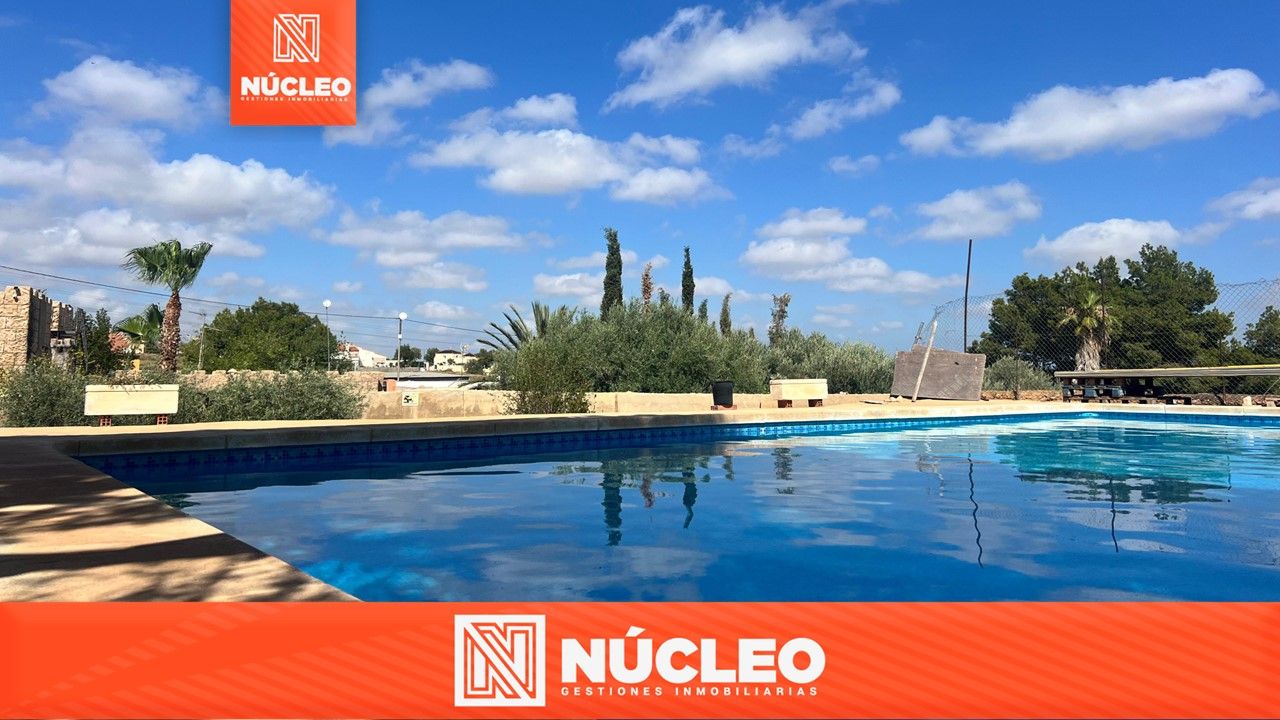 Swimming pool of House or chalet for sale in Elche / Elx  with Private garden, Terrace and Swimming Pool