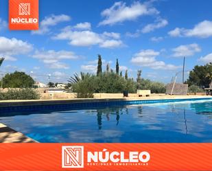 Piscina de Casa o xalet en venda en Elche / Elx amb Terrassa i Piscina