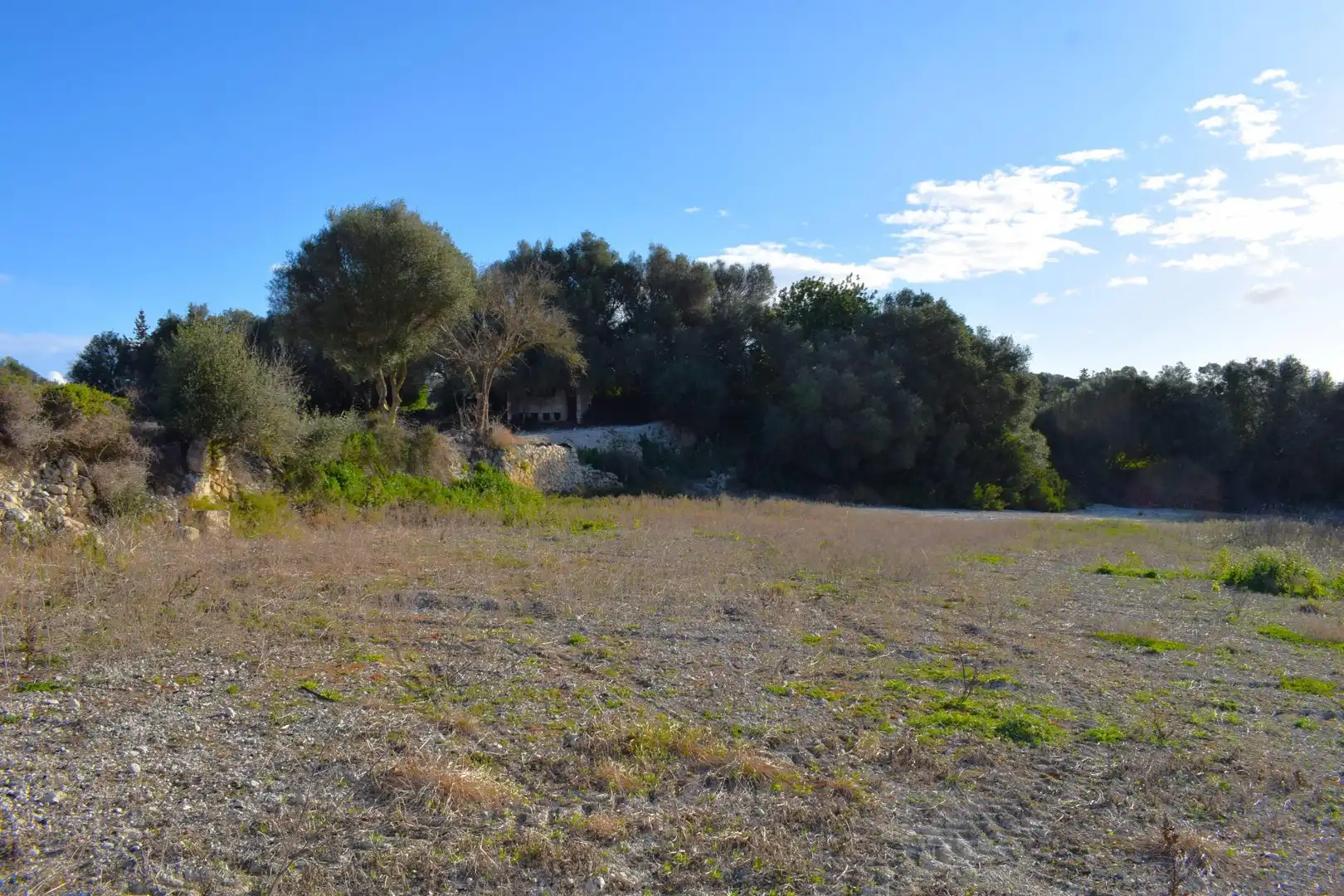 Residential land for sale in Muro, imagen 9