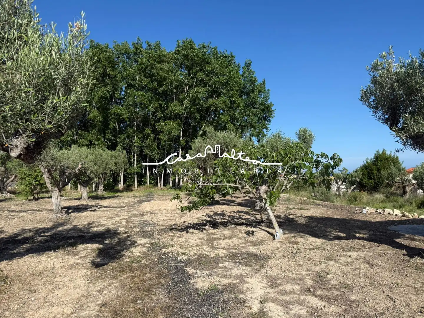 Terreno rustico in vendita a Altea ciudad, imagen 14