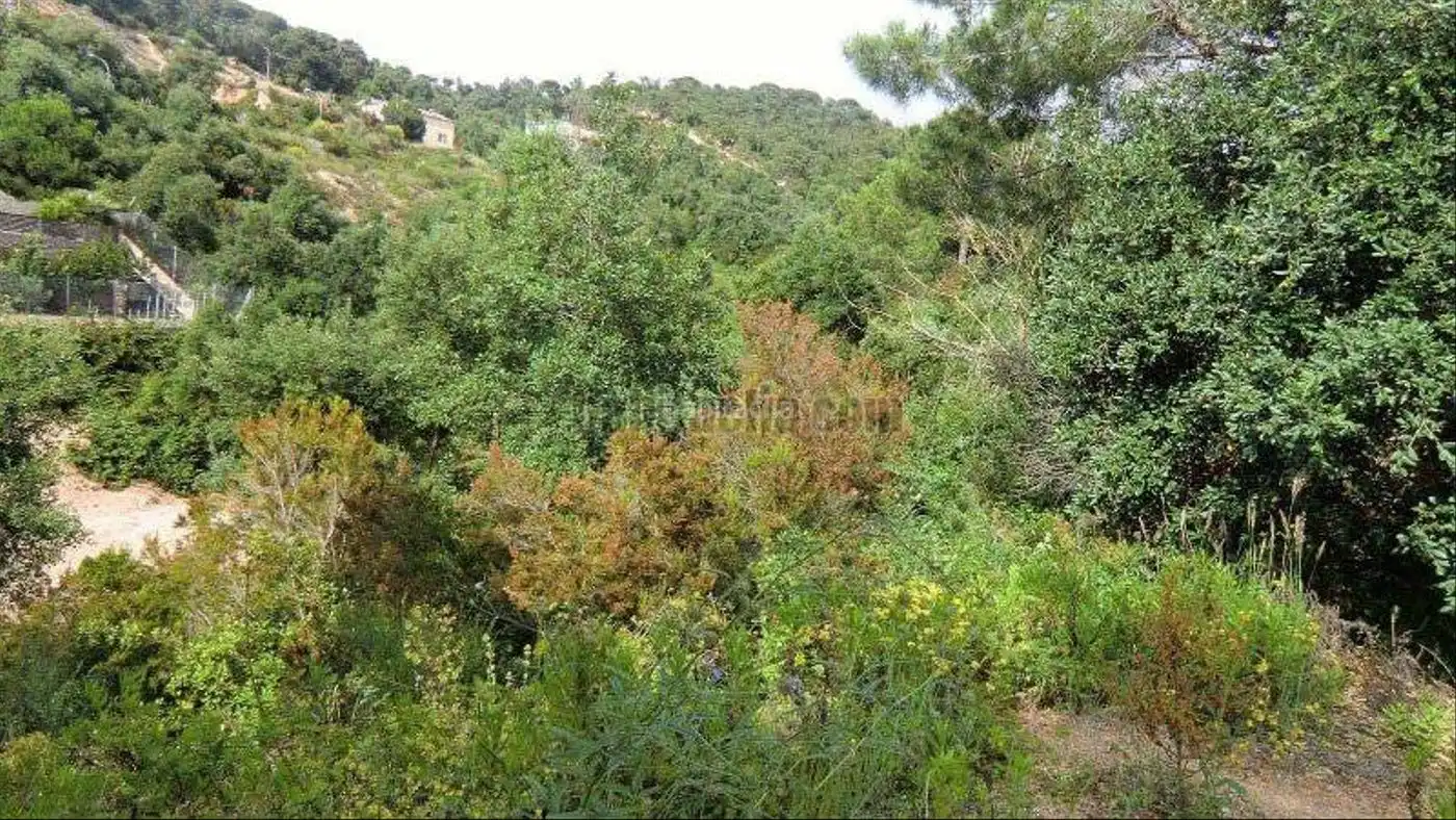 Terreny residencial en venda a Avinguda de la Senyera 79, imagen 4