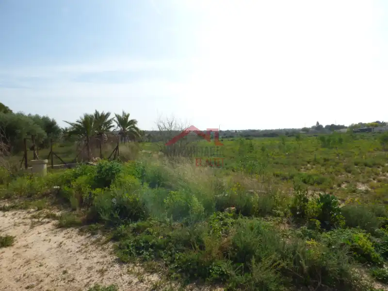Residencial en venta en Elche / Elx