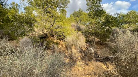 Foto 5 de Finca rústica en venda a Camino de las Balsas, El Esparragal, Murcia