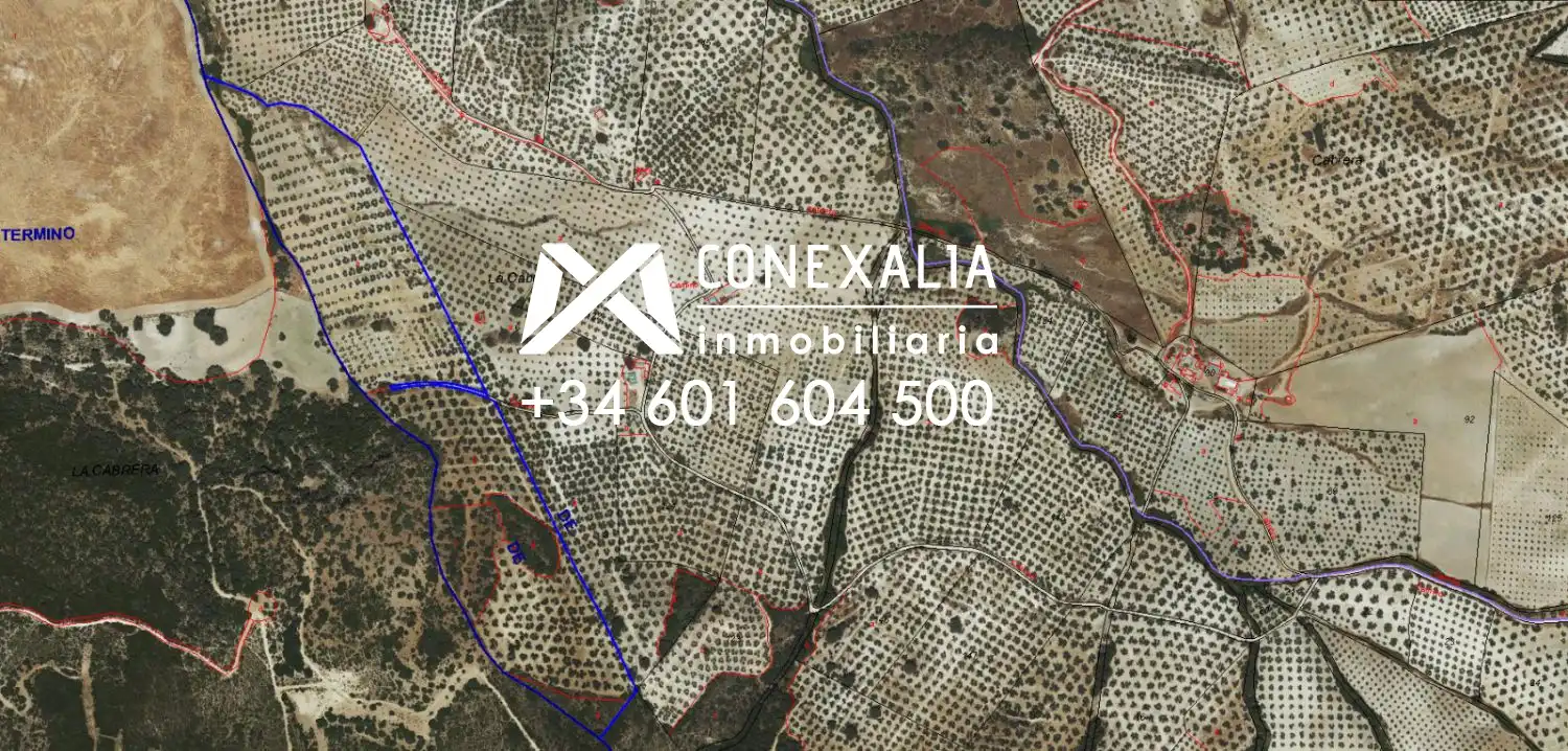 Finca rústica en venta en Pruna