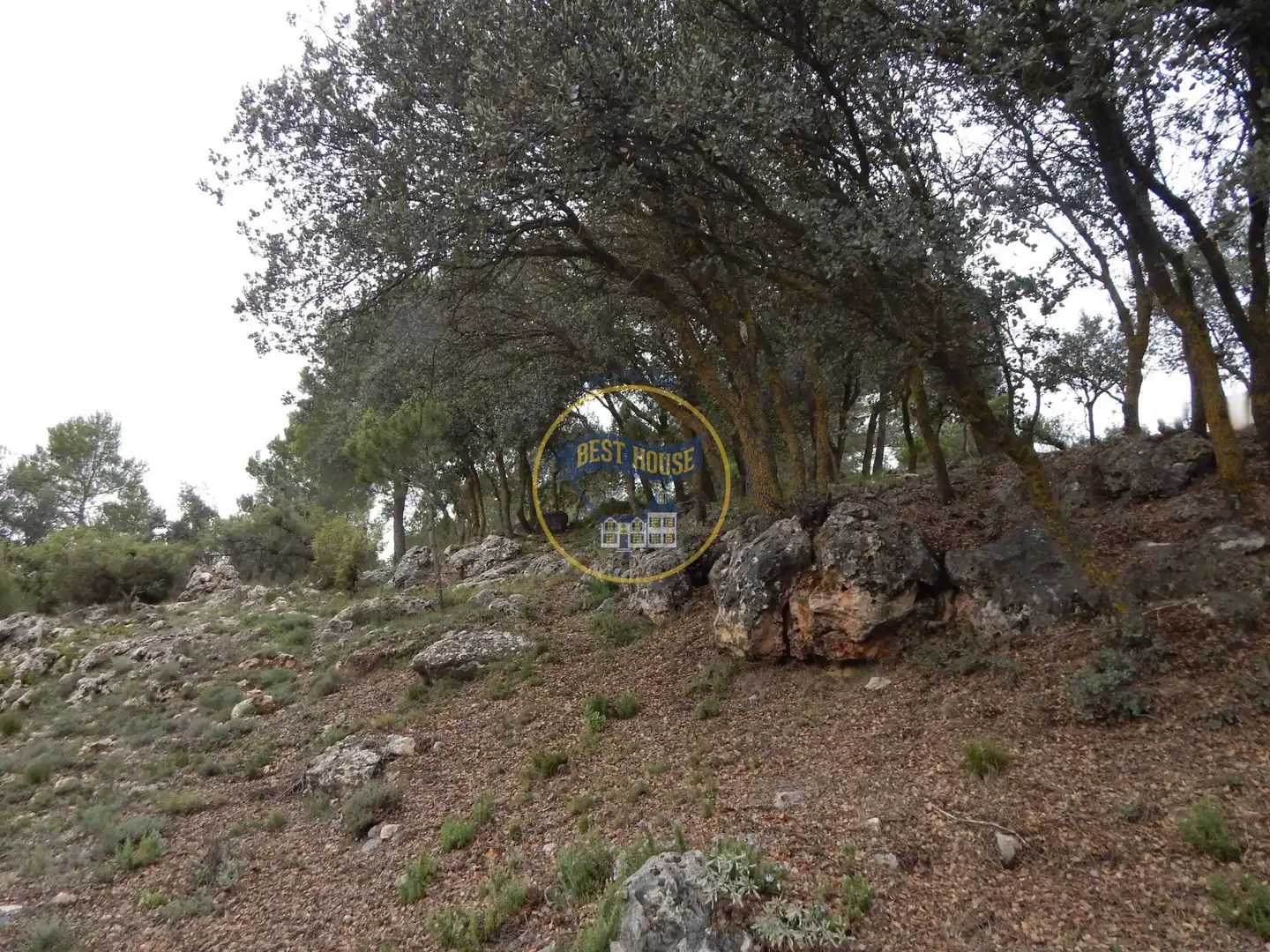Casa o chalet en venta en Bocairent con Calefacción, Jardín privado y Terraza