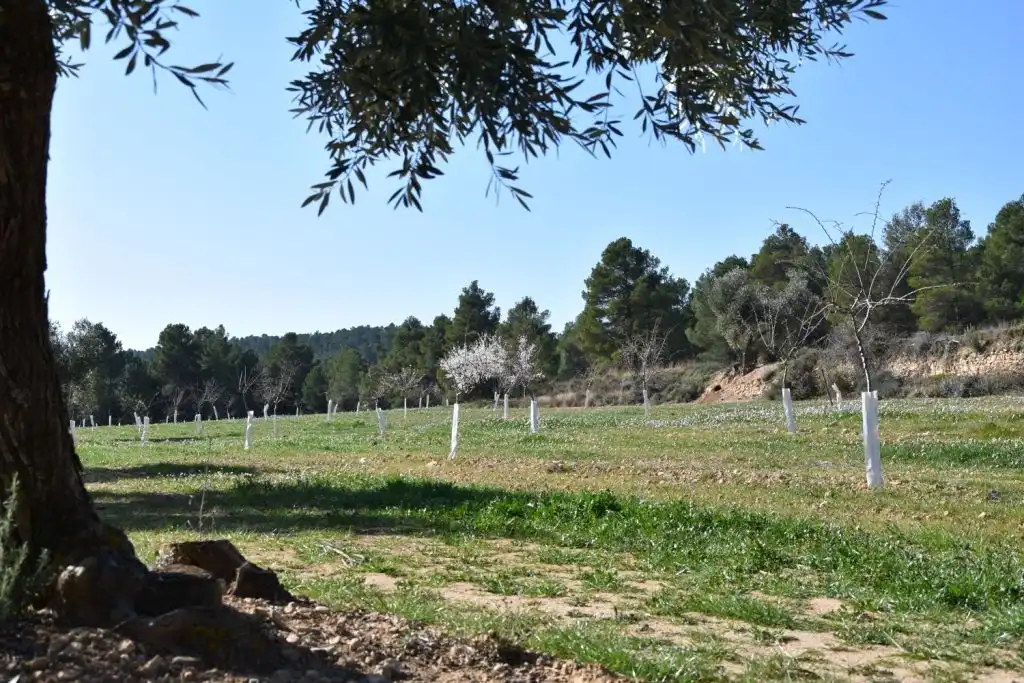 Country homes for sale in La Fresneda