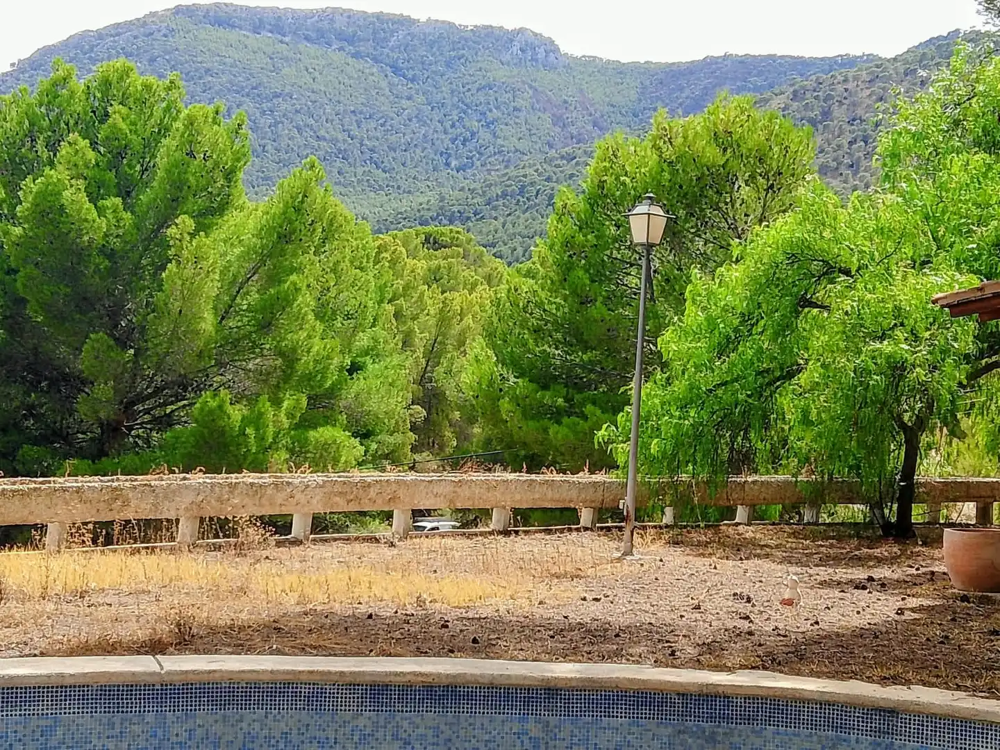 Chalet con terraza en venta en Urbanización Pinares del Mecli Izqd, imagen 10