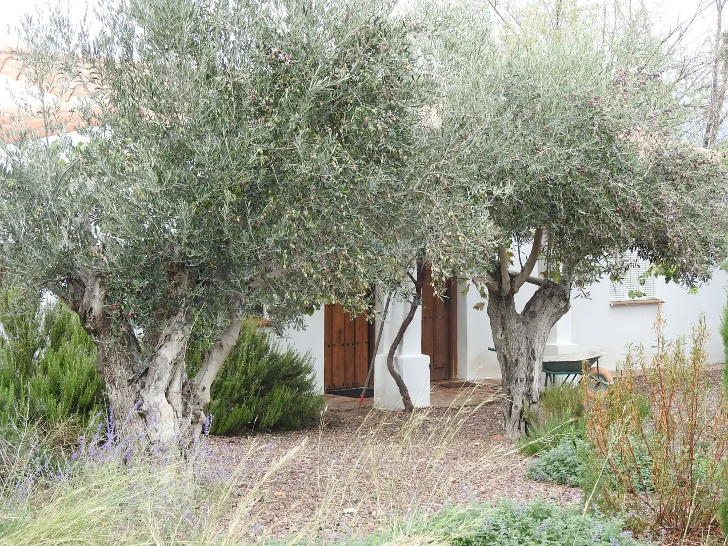 Terreni e lotti in vendita a Peraleda de la Mata, imagen 6