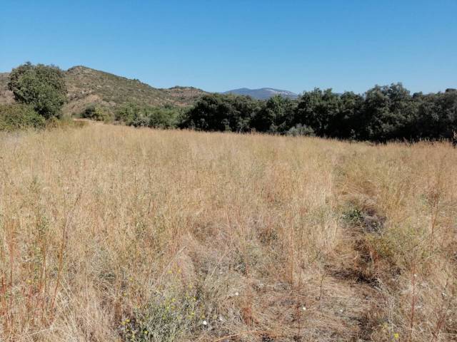 Terreno en Venta en PACAS en Santa María de Dulcis