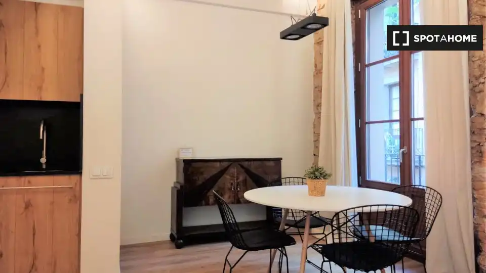 Appartamento con terrazza in affitto a Ciutat Vella, imagen 15