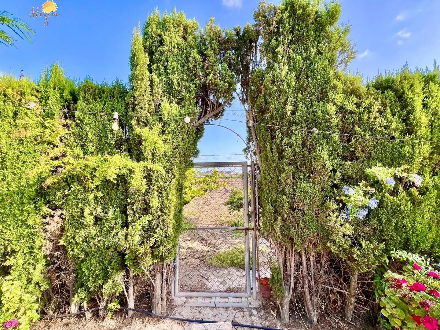 Casa o xalet en venda en Daya Vieja amb Aire condicionat, Calefacció i Jardí privat