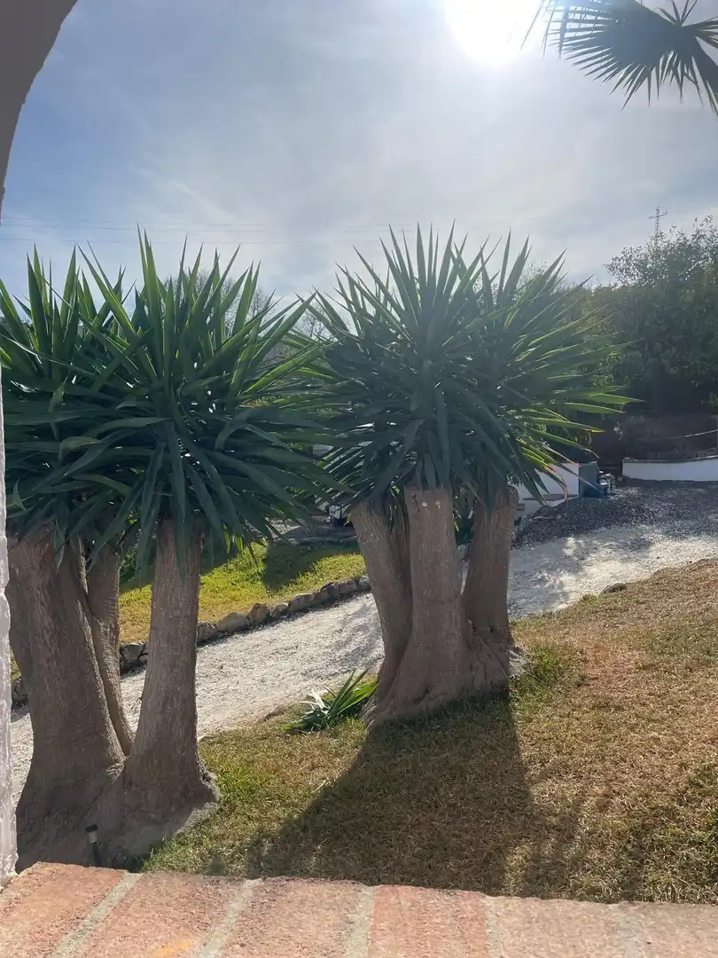 Casa rústica amb piscina en venda a Coín, imagen 5