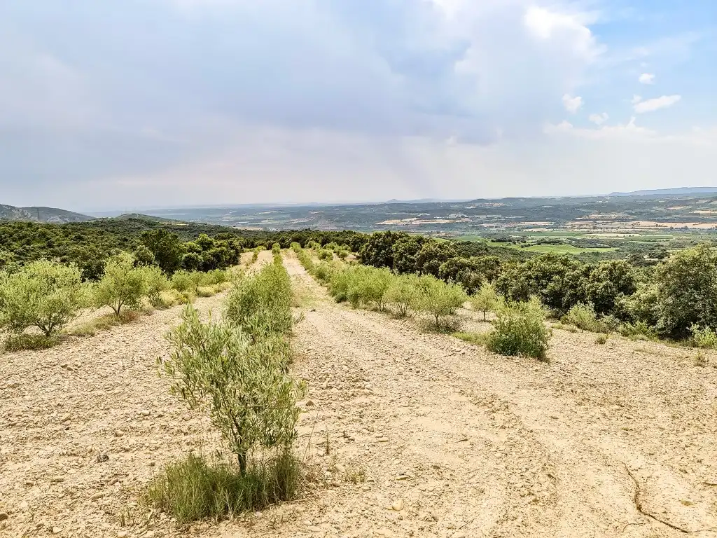 Residential land for sale in La Puebla de Castro, imagen 14