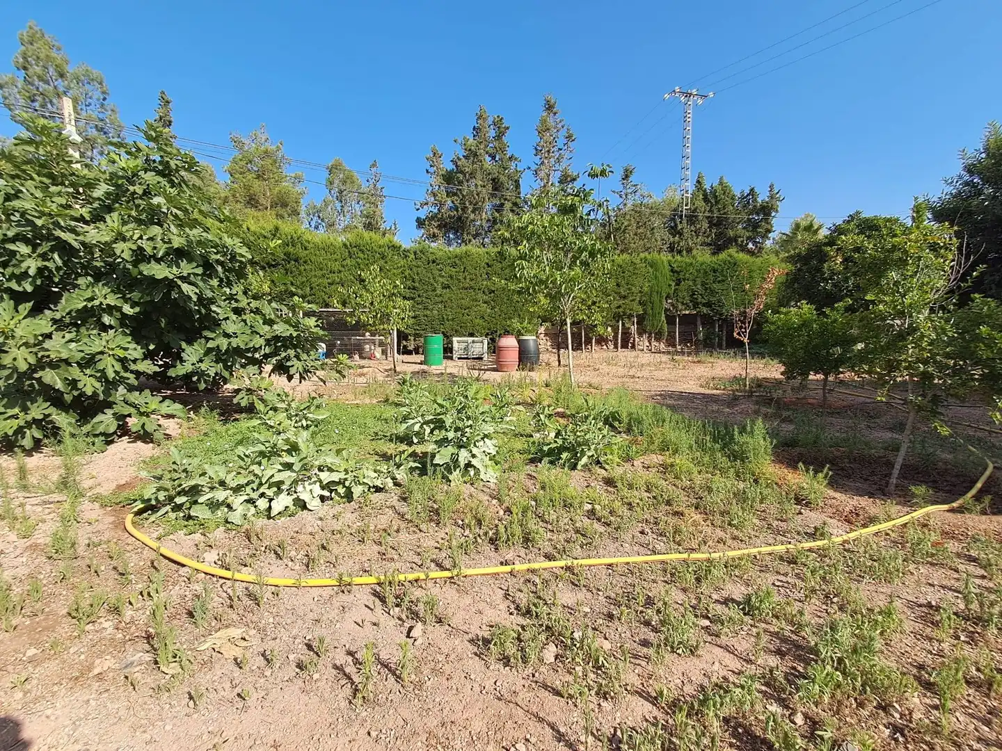House with pool for sale in Camino DE LOS JABONEROS, imagen 15