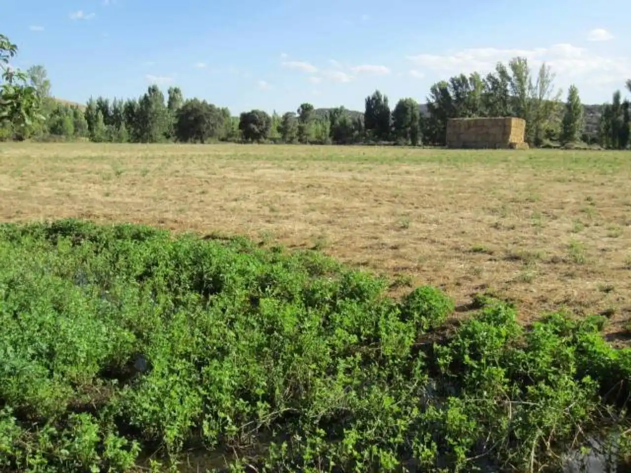 Terreno residencial en venta en Poligono 20, imagen 8