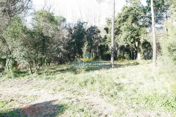 Residential land for sale in Carrer Selva, imagen 7