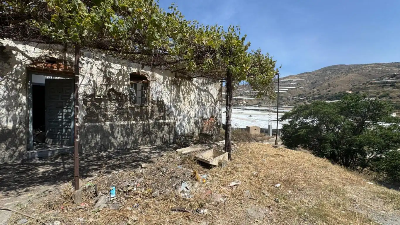 Vista exterior de Finca rústica en venda en Albuñol