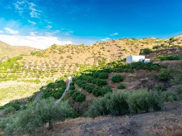Terreni e lotti in vendita a Cómpeta, imagen 5