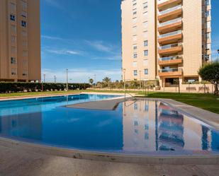 Swimming pool of Flat to rent in  Almería Capital  with Air Conditioner and Terrace
