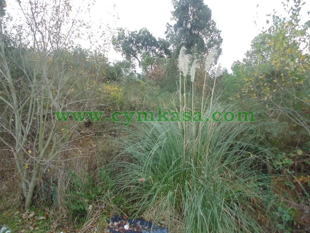Rural land for sale in Aiguaviva Parc, imagen 2