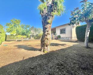 Jardí de Casa o xalet en venda en Torrevieja amb Aire condicionat, Jardí privat i Terrassa
