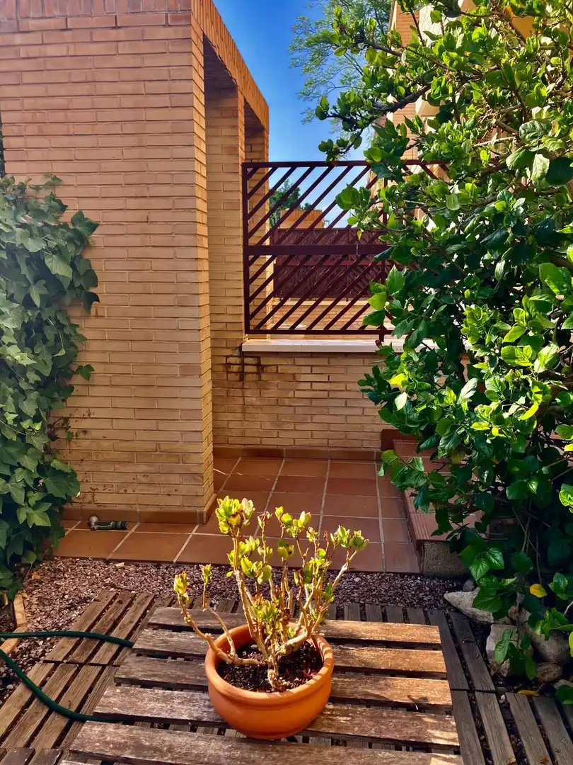 Garden of Duplexes for rent in Murcia  with Air Conditioner, Private garden and Terrace