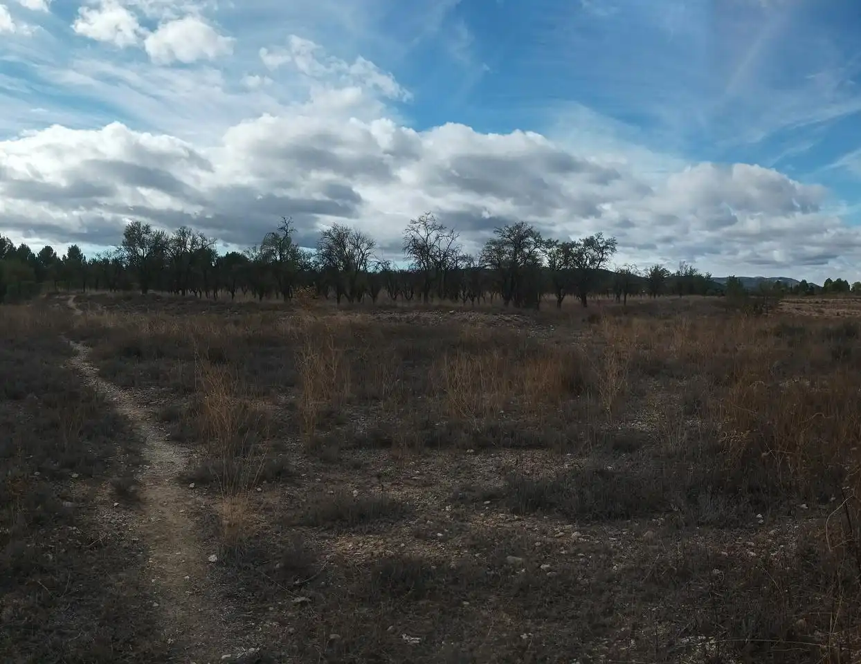 Terrenys i solars en venda a Paraje Campillo, imagen 6