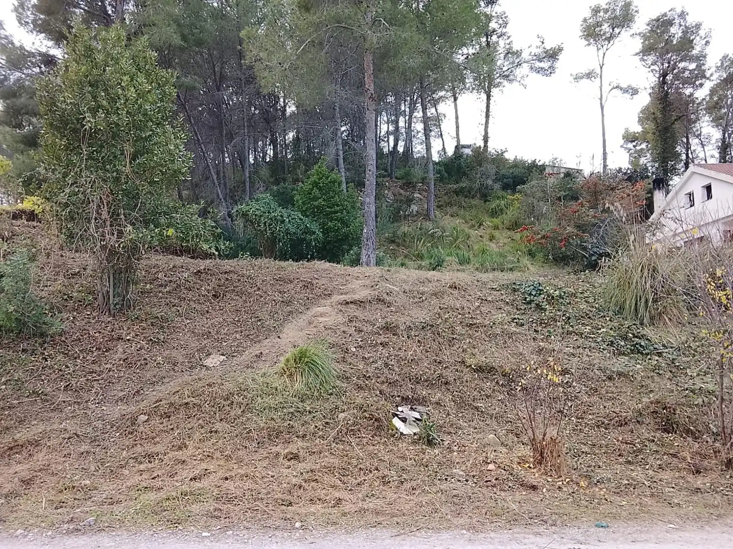 Terrain rustique à vendre à Puig Moltó - Can Macià