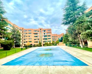 Swimming pool of Flat to rent in  Madrid Capital  with Air Conditioner