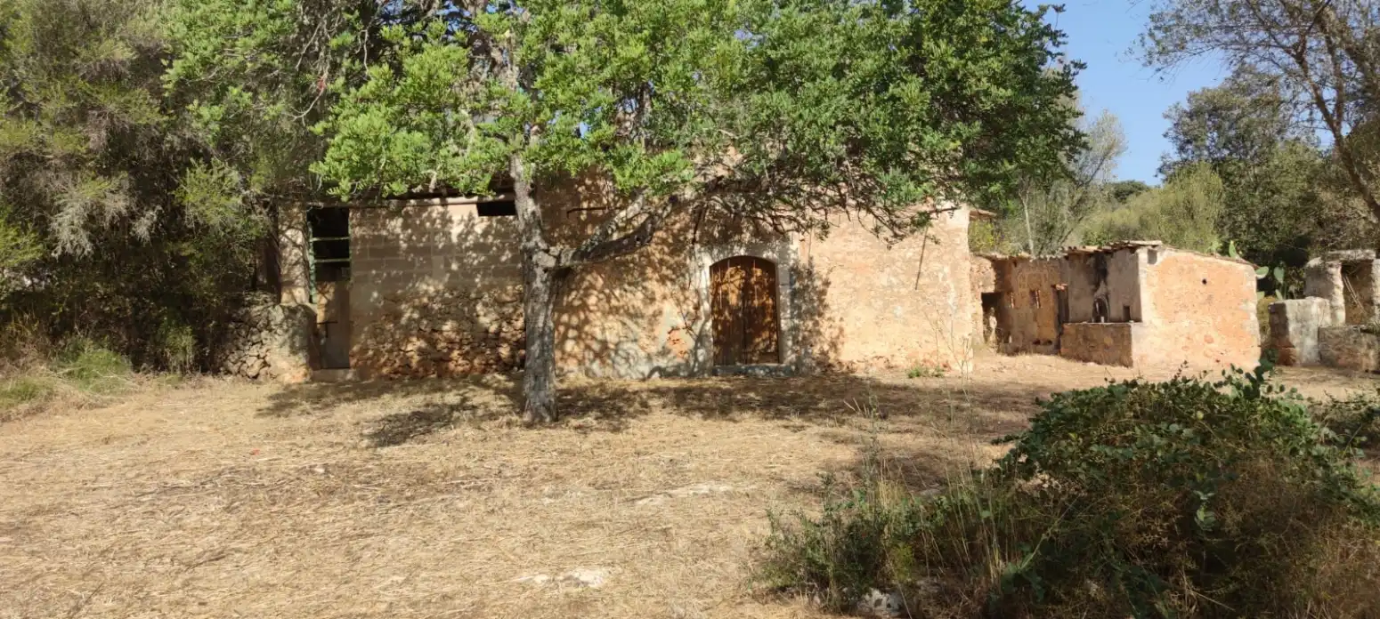 Rustikales Grundstück zum Verkauf in Llubí - Polígono 7, imagen 21