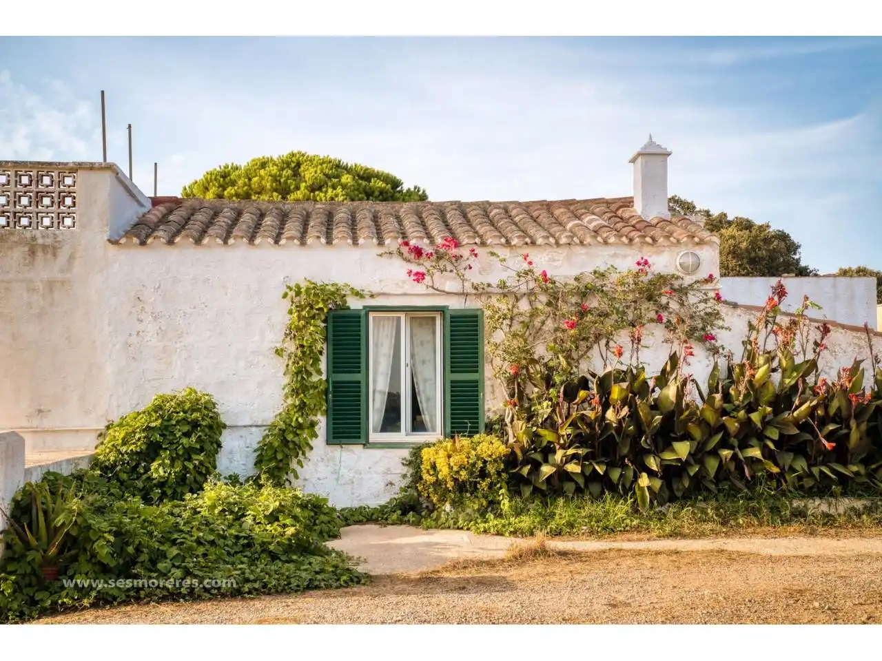 Terreno rustico in vendita a Calle finca Santa Rosa de Lima, imagen 4