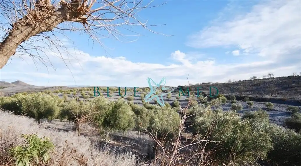 Maison à vendre à BEJAR, imagen 42