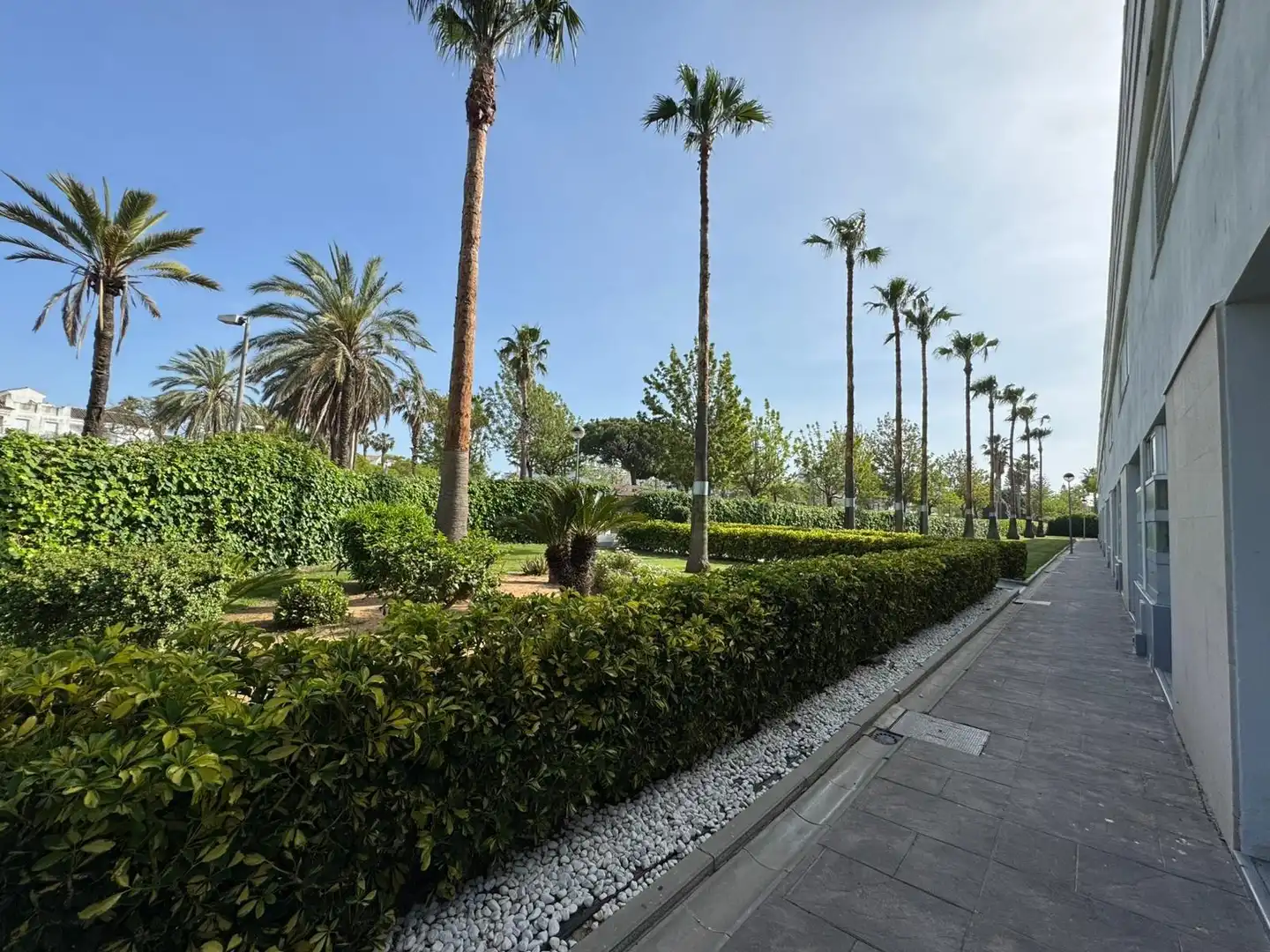 Exterior view of Apartments for sale in Rota