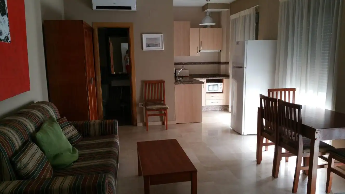 Living room of Study for rent in Málaga  with Furnished, Washing machine and Microwave