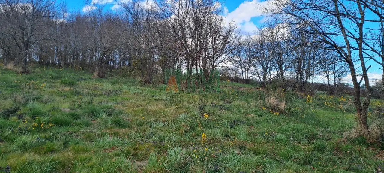 Terreni e lotti in vendita a Carretera de Celanova, imagen 4