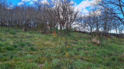 Photo 4 of Residential for sale in Carretera de Celanova, San Cibrao das Viñas, Ourense