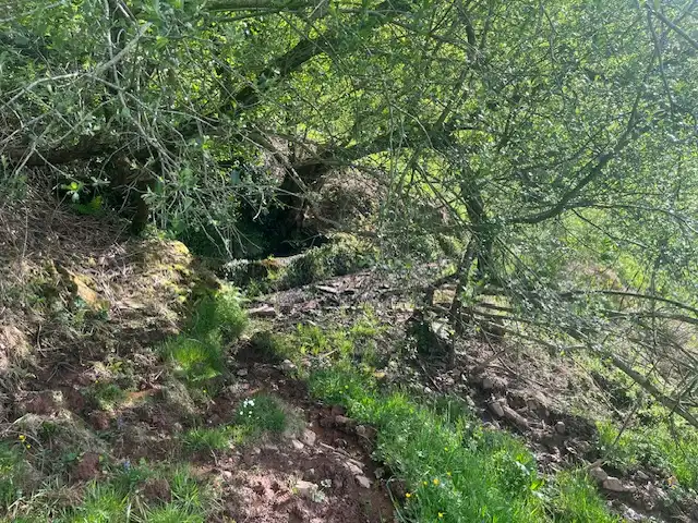 Finca rústica en venda en Vega de Pas