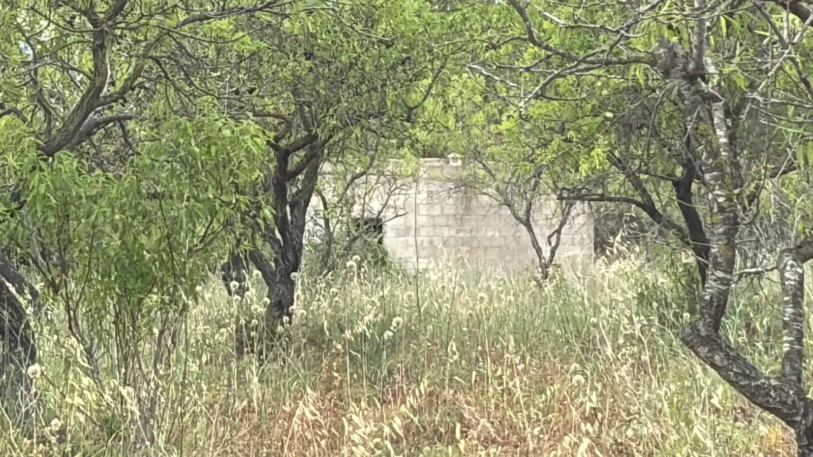 Terreno rustico in vendita a Traiguera, imagen 3
