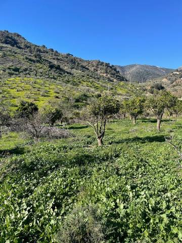 Terreno residencial en Venta en poligono, 11 en Huétor Tájar